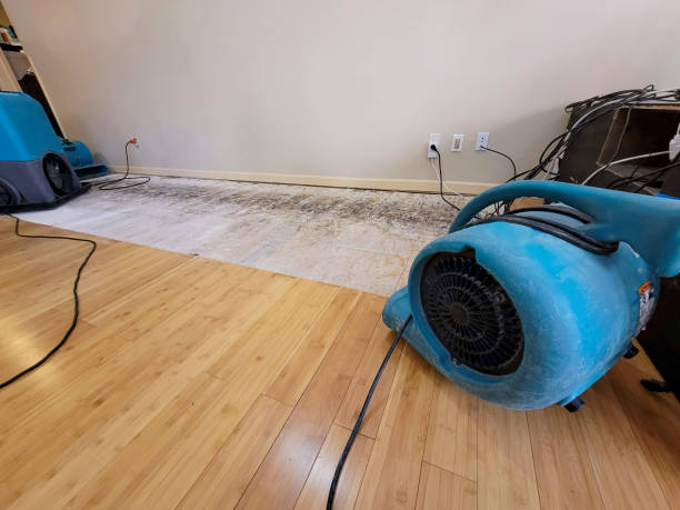 Professional Structural Drying technician working in Huntington, MA